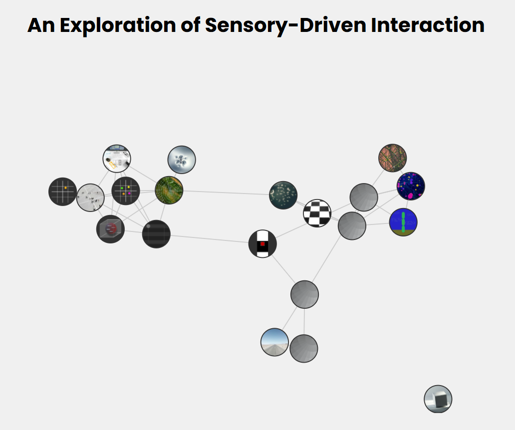 network visualisation screenshot